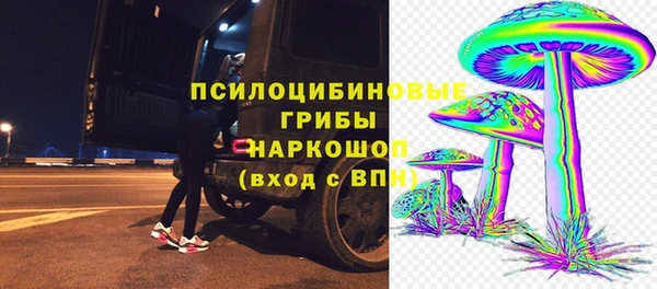spice Куйбышев