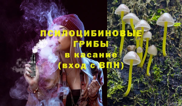 spice Куйбышев