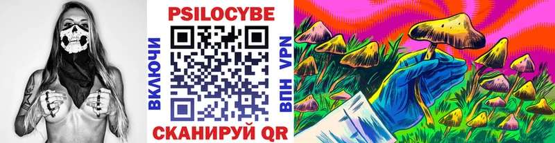 Псилоцибиновые грибы прущие грибы  Сосенский 